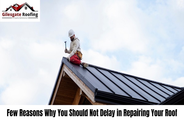 Few Reasons Why You Should Not Delay in Repairing Your Roof