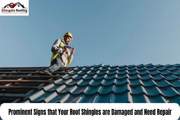 Prominent Signs that Your Roof Shingles are Damaged and Need Repair