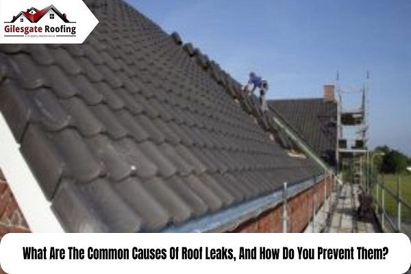 What Are The Common Causes Of Roof Leaks, And How Do You Prevent Them?